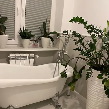 Goscinne K. Warszawy *