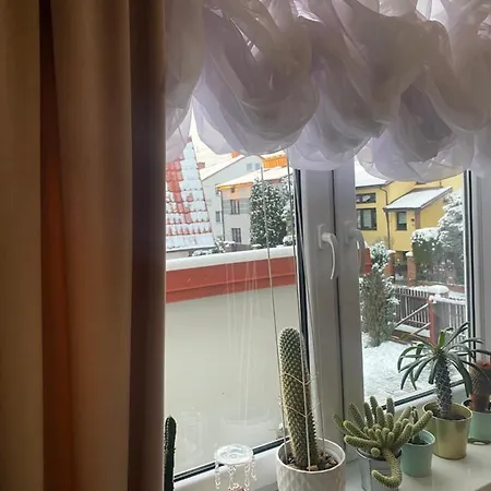 Goscinne K. Warszawy * Ząbki